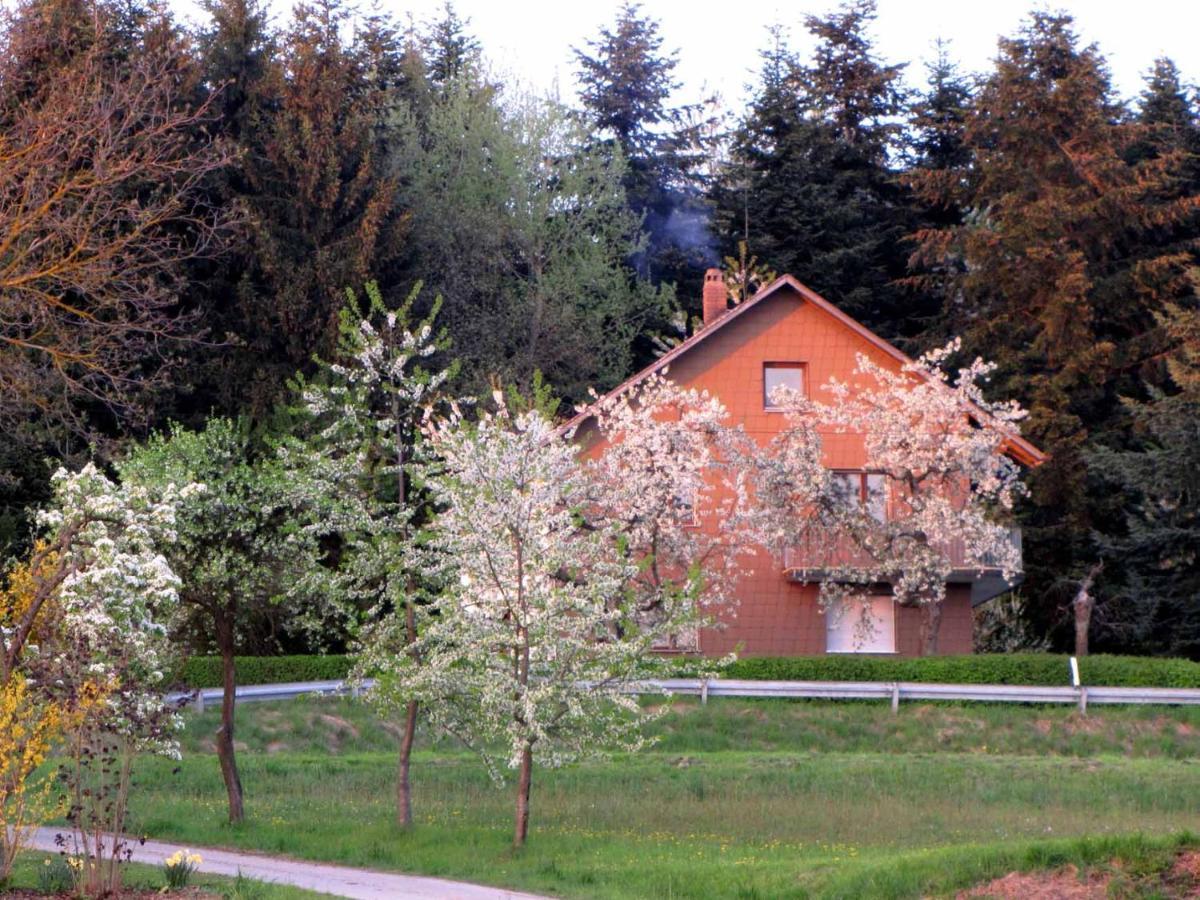 Ferienwohnung Haus Hollerbusch Neunburg vorm Wald Exterior foto